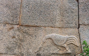 Hampi, Karnataka, Hindistan - 5 Kasım 2013: Zanana Enclosure. Gri dış çimento olmayan duvarda yalnız kaz freski. Yeşil yaprak parçası renk katar.