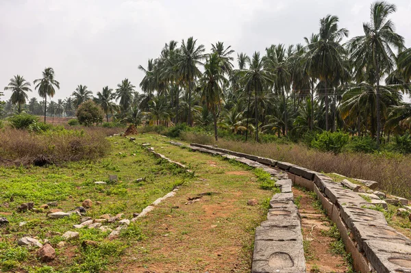 Hampi Karnataka India 2013 Ancient Aqueduct 풍경에는은 야자나무들이 들어차 있습니다 — 스톡 사진