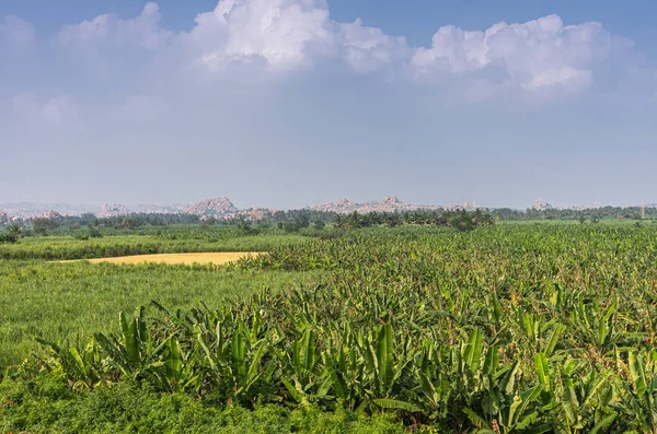 Hampi Karnataka India Noviembre 2013 Rico Terreno Agrícola Verde Lago — Foto de Stock