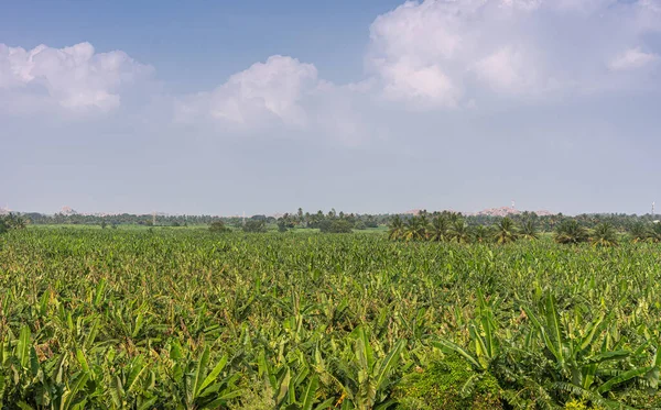 Hampi Karnataka Índia Novembro 2013 Terras Agrícolas Verdes Ricas Torno — Fotografia de Stock