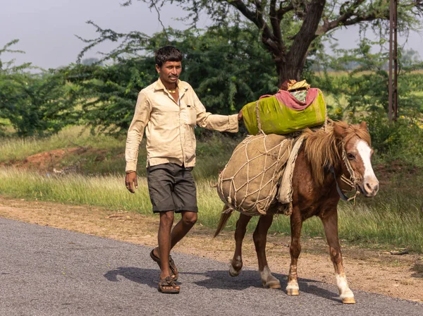 Halagere Karnataka Índia Novembro 2013 Closeup Transport Pony Asphalt Road — Fotografia de Stock