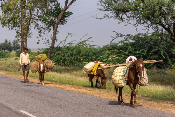 Halagere Karnataka India November 2013 Πόνι Μεταφορών Ασφαλτοστρωμένο Δρόμο Δέντρα — Φωτογραφία Αρχείου