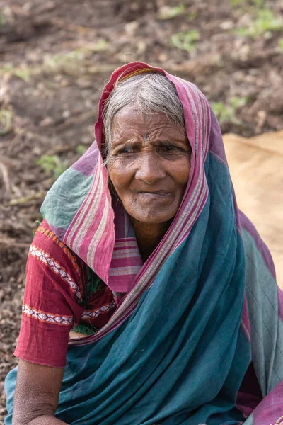 Abbigeri Karnataka Indien November 2013 Närbild Äldre Kvinnliga Jordnötsskördare Lila — Stockfoto