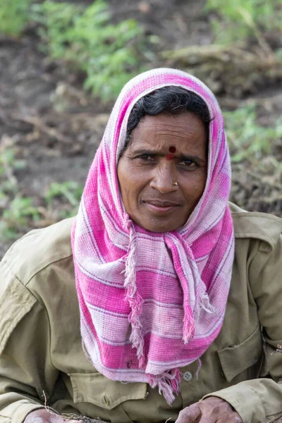 Abbigeri Karnataka India November 2013 Closeup Married Female Peanut Harvester — Stock Photo, Image