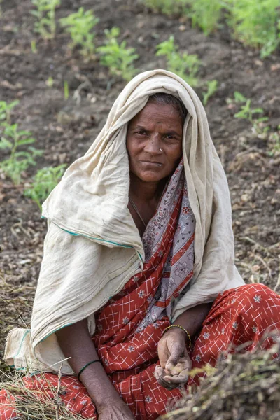 Abbigeri Karnataka India November 2013 Closeup Female Peanut Harvester Beige — Stock Photo, Image