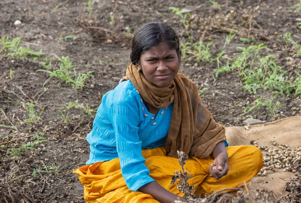 Abbigeri Karnataka インド 2013年11月6日 若い未婚女性ピーナッツ収穫者の閉鎖茶色のショールが 黒い髪が露出し 青いシャツとサフォーンイエローのズボン — ストック写真