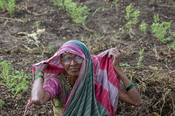 Abbigeri Karnataka India November 2013 Closeup Older Female Peanut Harvester — 图库照片