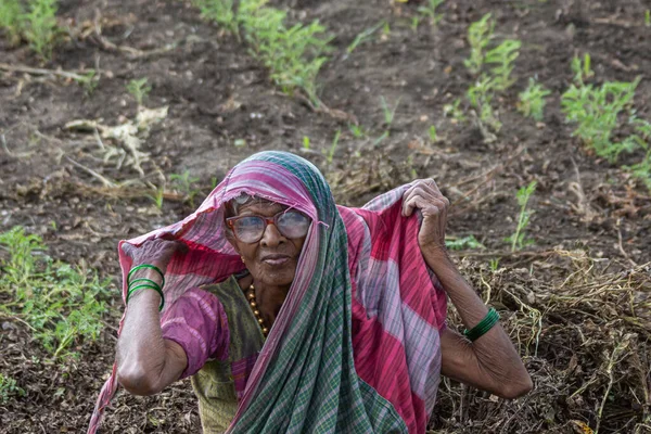 Abbigeri Karnataka India Noviembre 2013 Primer Plano Cosechadora Maní Femenina — Foto de Stock