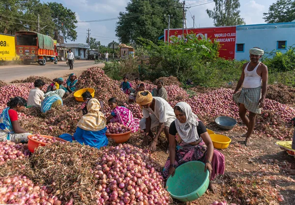 Rona Karnataka Inde Novembre 2013 Groupe Travailleurs Agricoles Principalement Masculins — Photo