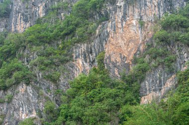 Guilin, Çin - 10 Mayıs 2010: Li Nehri boyunca. Gri bej kayalıklara yakın. Kısmen yeşil ağaçlarla kaplı..