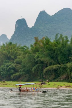 Guilin, Çin - 10 Mayıs 2010: Li Nehri boyunca. Yeşil sularda bir taksi gibi sallar. Kahverengi bufaloların önünde çimenlerin üzerinde, arkada sık ormanlar ve gümüş gökyüzünün altında dağ tepeleri vardır.,