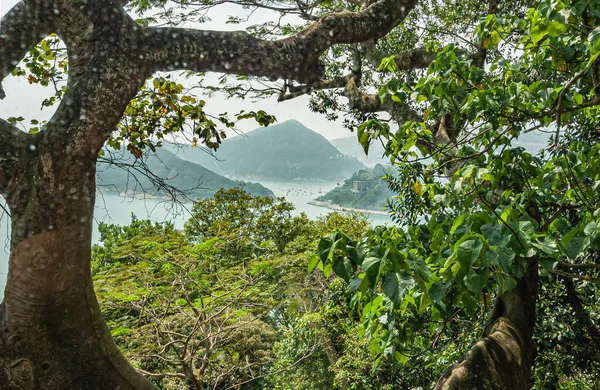 Hong Kong, China - May 12, 2010: View through green foliage on hill onto islands in South China Sea SW of Hong Kong Island.