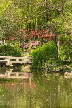Suzhou, Çin - 3 Mayıs 2010: Mütevazı Yöneticiler Bahçesi. Yeşil su birikintisi, yeşil ve kırmızı yapraklar ve pembe çiçeklerle birlikte park yerinin portresi..