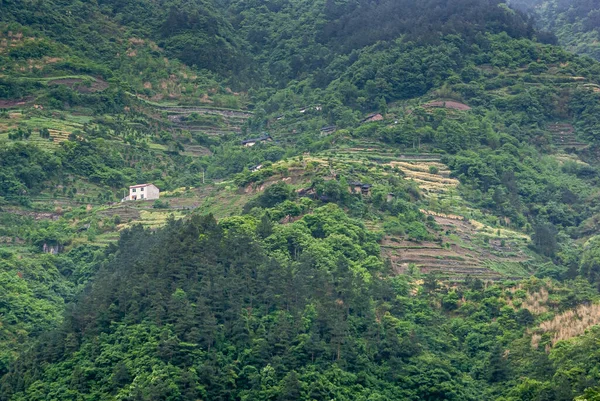 Sungai Yangtze Tiga Ngarai Tiongkok Mei 2010 Xiangxicun Region Xiling — Stok Foto