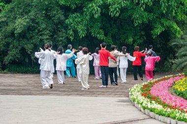 Chongqing, Çin - 9 Mayıs 2010: Gümüş, mavi ve kırmızı ipek elbiseli bir grup insan yeşil yeşillik duvarı önünde senkronize Tai Chi egzersizleri yapıyor. Çiçekler renk ekler.
