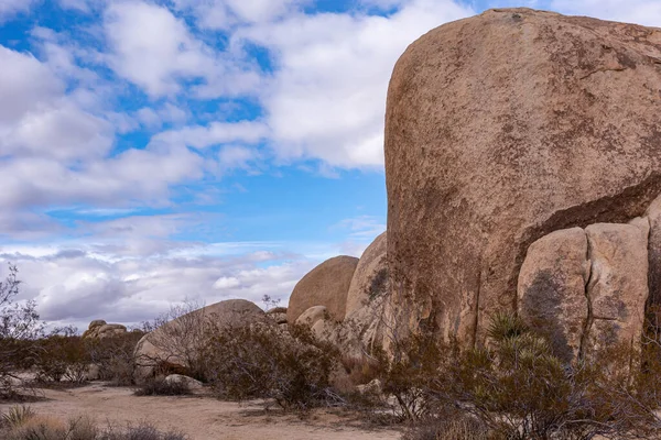 Joshua Tree Ulusal Parkı Abd Aralık 2012 Grupta Bej Kayanın — Stok fotoğraf