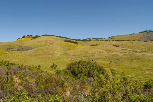 Santa Maria Usa Abril 2010 Tierra Rancho Verde Este Cordillera — Foto de Stock