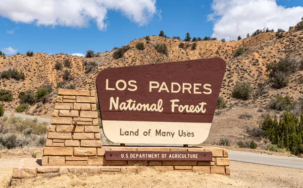 Los Padres National Forest Estados Unidos Mayo 2021 Primer Plano — Foto de Stock