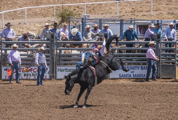 Santa Maria Usa Juni 2010 Rodeo Action Shot Cowboy Hänger — Stockfoto