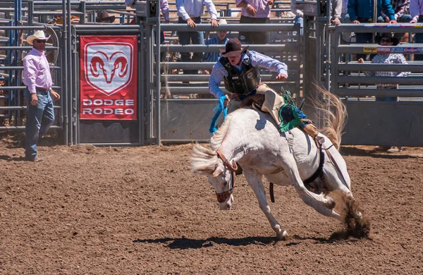 Santa Maria Usa Czerwca 2010 Rodeo Strzał Akcji Kowboj Pochyla — Zdjęcie stockowe