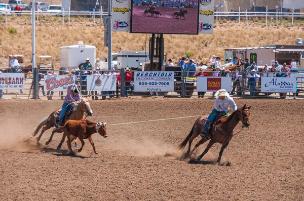 Santa Maria Usa Juni 2010 Rodeo Brown Fångas Redan Lasso — Stockfoto