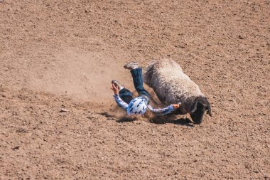 Santa Maria, CA, USA - 6 Haziran 2010: Rodeo. Çocuk, koyunlar tökezleyip kahverengi çamura düşerken sırt üstü düşmüş..