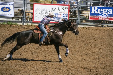 Santa Maria, CA, ABD - 6 Haziran 2010: Rodeo fıçı yarışı. Kovboy kız kahverengi toprakta siyah at yarıştırıyor. .