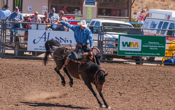 Santa Maria Usa Juni 2010 Rodeo Cowboy Blå Skjorta Försöker — Stockfoto