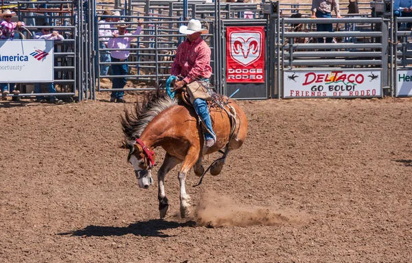 Santa Maria Usa Червня 2010 Rodeo Ковбой Червоній Сорочці Сидить — стокове фото