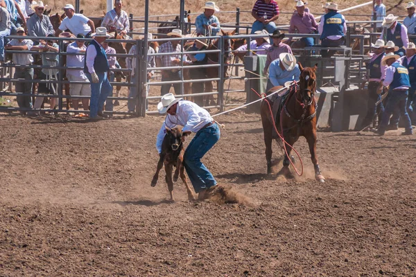 Santa Maria Usa Czerwca 2010 Rodeo Kowboj Skoczył Brązowego Konia — Zdjęcie stockowe