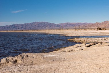ABD, CA, Salton Sea - 28 Aralık 2012: açık mavi gökyüzünün altındaki SE Marina noktasındaki kahverengi-gri kıyı şeridi. Koyu mavi su ve ufukta dağlar. Yandaki harap ahşap kulübe..