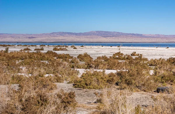 Usa Salton Sea Diciembre 2012 Costa Noroeste Arena Salada Cerca — Foto de Stock