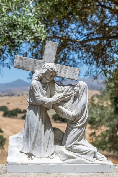 2009年4月3日 サンロレンツォ神学校 十字架の駅番号6白い大理石の像 ヴェロニカはイエスの顔を拭う 緑の葉を背に青い空の下で — ストック写真