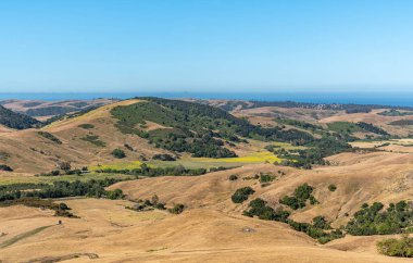 Cambria, CA, USA - 9 Haziran 2021: Mavi gökyüzü altında çiftçilik yapmak için kullanılan Back Country Hills 'ten mavi okyanusa bakın. Sarı hardal çiçekleri ve yeşil ağaçları olan tarım arazileri..