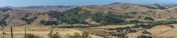 Cambria Usa June 2021 Panorama Landscape Hills Farm Back Country — Stock Photo, Image