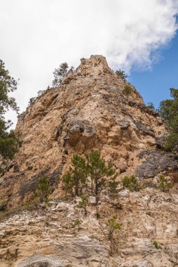 Black Hills Ulusal Ormanı, SD, ABD - 31 Mayıs 2008: Çevresindeki seyrek yeşil yapraklı mavi bulutların altında bej-kahverengi kaya zirvesi ve uçurumun kapatılması.