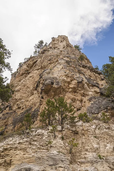 Black Hills Ulusal Ormanı Abd Mayıs 2008 Çevresindeki Seyrek Yeşil — Stok fotoğraf