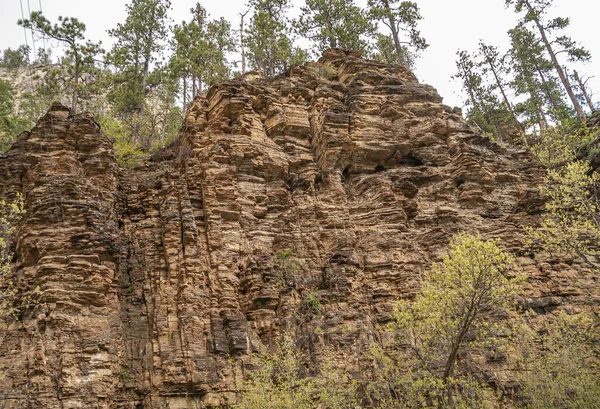 Bosque Nacional Black Hills Mayo 2008 Primer Plano Del Acantilado — Foto de Stock