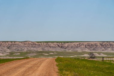 Badlands Ulusal Parkı, SD, ABD - 1 Haziran 2008: Mavi gökyüzünün altında Prairie 'nin altından bej jeolojik çökeltilerin göründüğü manzara. Yeşil ovalar ve kahverengi toprak yol önde.