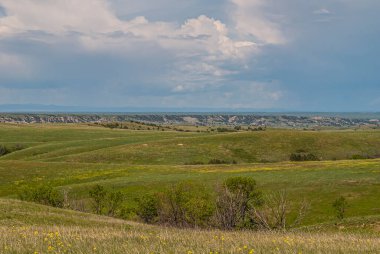 Badlands Ulusal Parkı, SD, ABD - 1 Haziran 2008: Çayırlık tepeleri ve ufukta mavi bulutların altında jeolojik çökeltilerle geniş yeşil manzara.