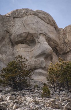 Black Hills, Keystone, SD, USA - 31 Mayıs 2008: Rushmore Dağı. Başkan Roosevelt 'in yakın çekimi mavi gökyüzünün altındaki gri granitte heykelle karşılaşıyor. Önde birkaç alçak ağaç var..
