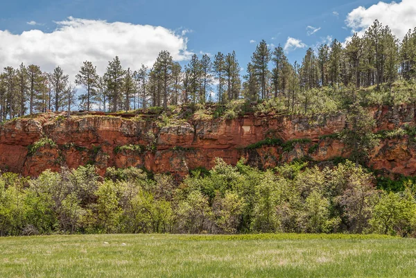 Black Hills Keystone Usa Maggio 2008 Custer State Park Primo — Foto Stock