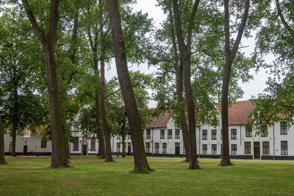 Brugge Vlaanderen België Augustus 2021 Groene Binnenplaats Met Hoge Bomen — Stockfoto