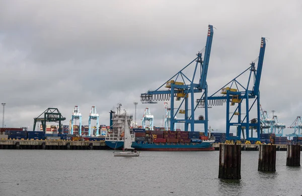 Zeebrugge Port Bélgica Agosto 2021 Los Yates Vela Blancos Pasan —  Fotos de Stock