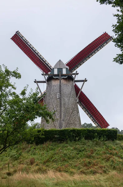 Genk Bélgica Agosto 2021 Domein Bokrijk Galgenmolen Sus Alas Rojas — Foto de Stock