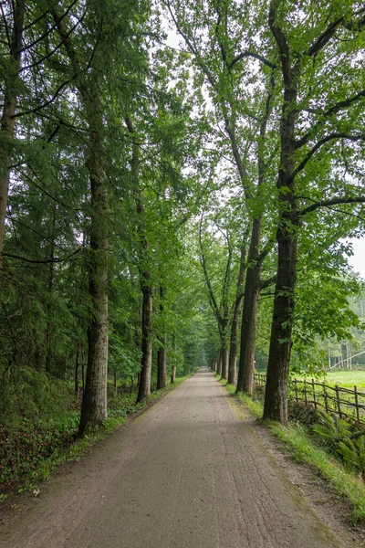 Genk Belgien August 2021 Domein Bokrijk Braune Unbefestigte Landstraße Ist — Stockfoto