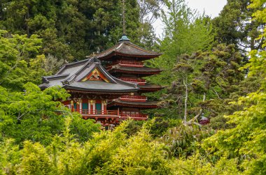 ABD, Kaliforniya, San Francisco - 19 Mayıs 2008: Japon Bahçesi. Kırmızı-kahverengi pagoda tepeleri farklı yeşil ağaç yaprakları arasında.
