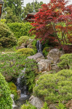 ABD, Kaliforniya, San Francisco - 19 Mayıs 2008: Japon Bahçesi. Kayaların üzerindeki şelale yeşil ve kırmızı yaprakların arasına kurulmuş ve yukarıda Pagoda kulesi var..