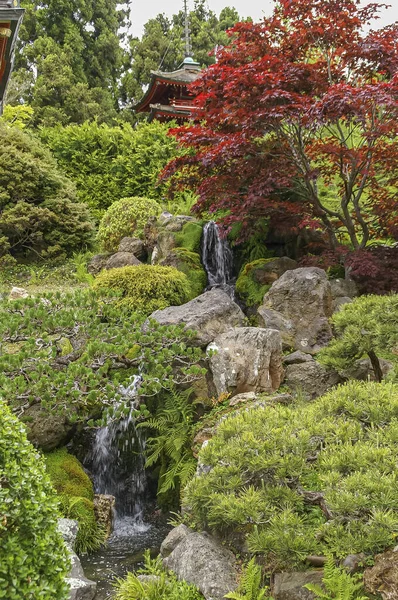 2008年5月19日 アメリカ カリフォルニア州サンフランシスコ 日本庭園 緑と赤の葉の間に設けられた岩の上の滝で 塔の上を覗く — ストック写真