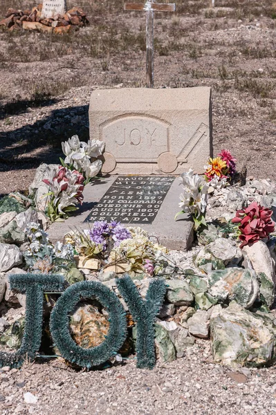 2011年5月16日 ネバダ州ゴールドフィールド 砂漠の歴史墓地 若い女の子のためのトムブストーン Mildrewフレミング言葉で喜びのイメージでMineshaftカート 石の上のドライフラワー — ストック写真